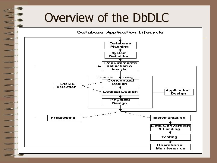 Overview of the Db. DLC 