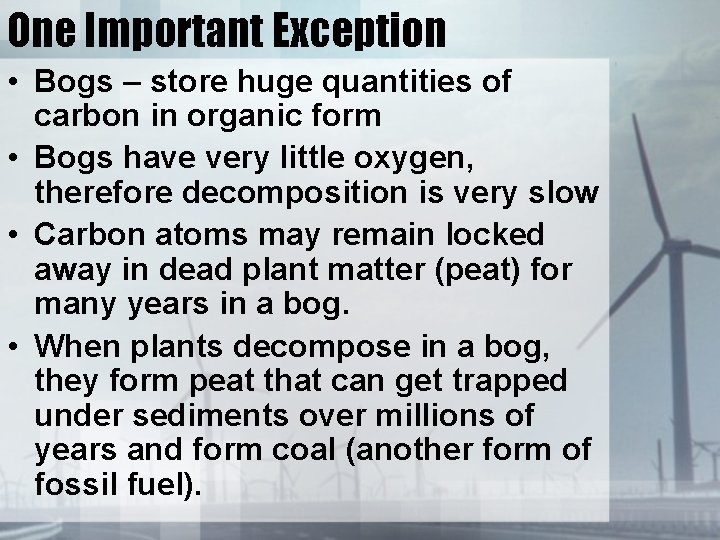 One Important Exception • Bogs – store huge quantities of carbon in organic form