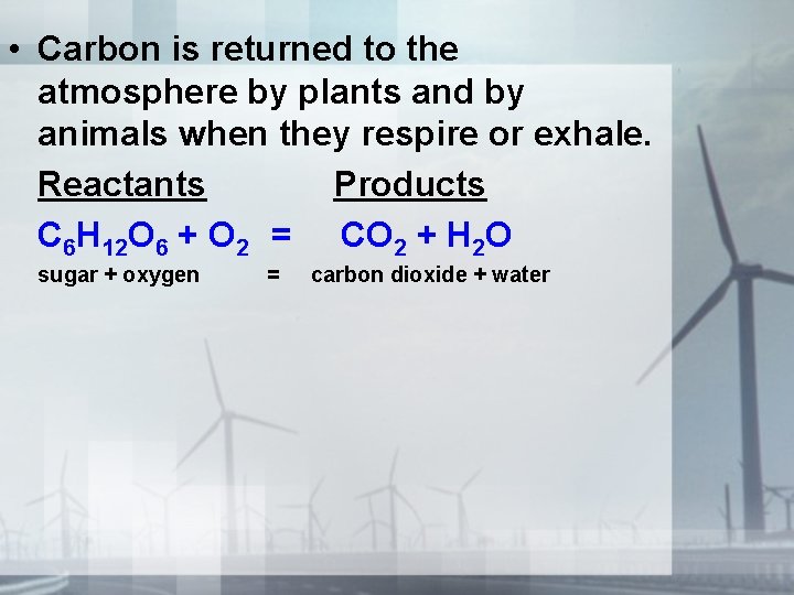  • Carbon is returned to the atmosphere by plants and by animals when
