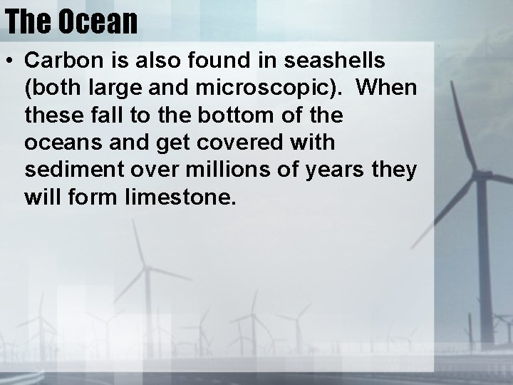 The Ocean • Carbon is also found in seashells (both large and microscopic). When