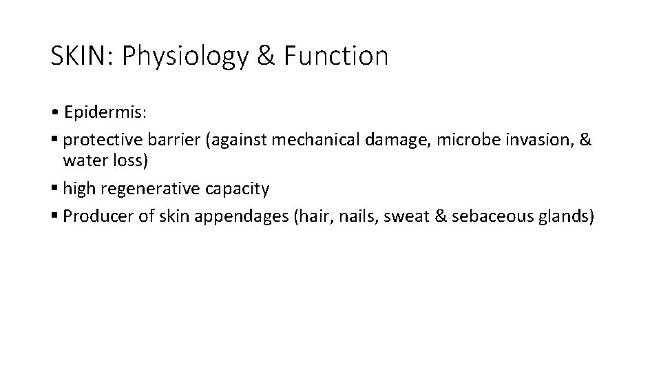 SKIN: Physiology & Function • Epidermis: § protective barrier (against mechanical damage, microbe invasion,