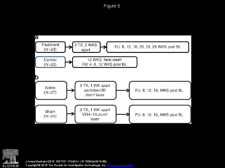 Figure 5 J Invest Dermatol 2015 1351727 -1734 DOI: (10. 1038/jid. 2015. 89) Copyright