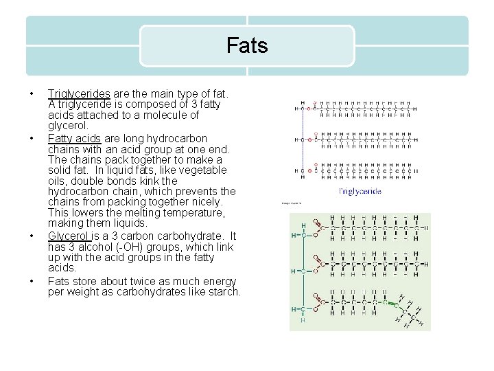 Fats • • Triglycerides are the main type of fat. A triglyceride is composed
