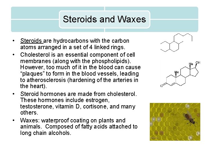 Steroids and Waxes • Steroids are hydrocarbons with the carbon atoms arranged in a