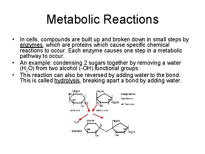 Metabolic Reactions • In cells, compounds are built up and broken down in small