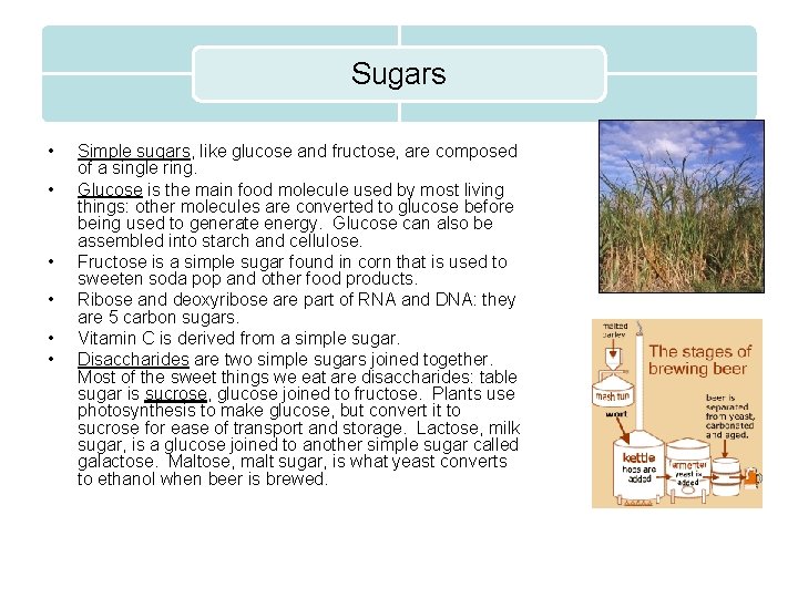 Sugars • • • Simple sugars, like glucose and fructose, are composed of a