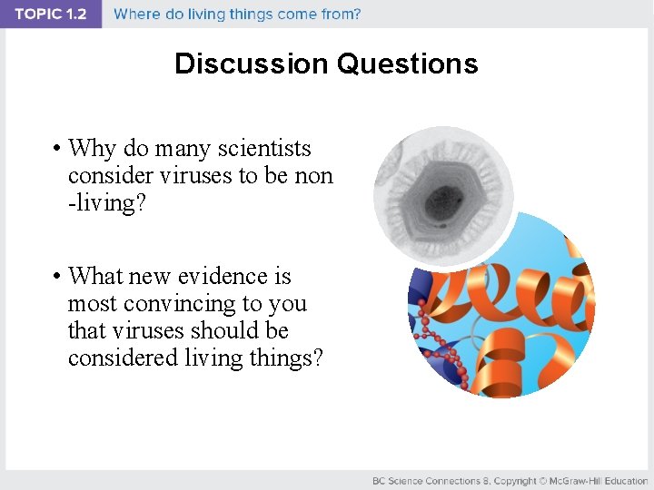 Discussion Questions • Why do many scientists consider viruses to be non -living? •