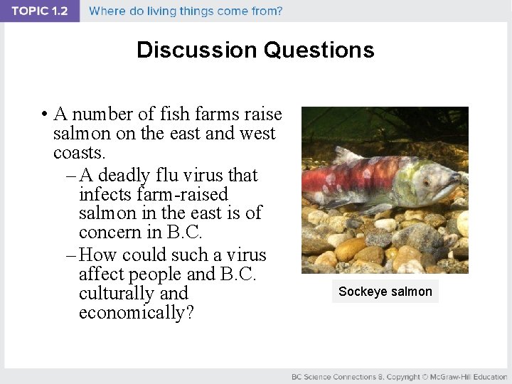 Discussion Questions • A number of fish farms raise salmon on the east and