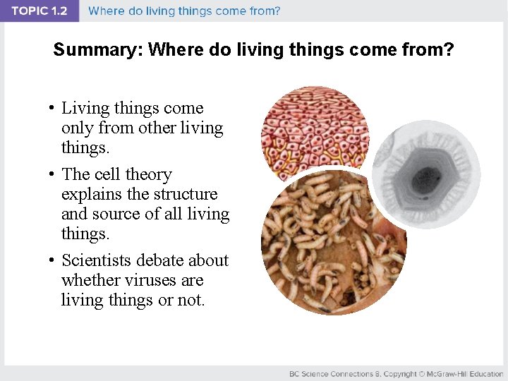 Summary: Where do living things come from? • Living things come only from other