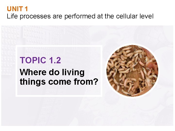 UNIT 1 Life processes are performed at the cellular level TOPIC 1. 2 Where