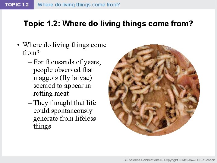 Topic 1. 2: Where do living things come from? • Where do living things