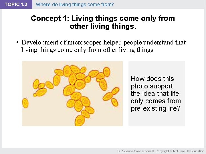 Concept 1: Living things come only from other living things. • Development of microscopes