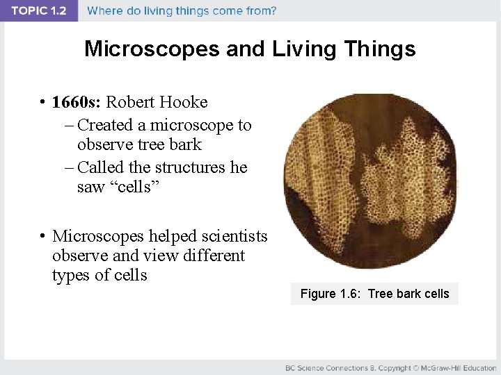 Microscopes and Living Things • 1660 s: Robert Hooke – Created a microscope to