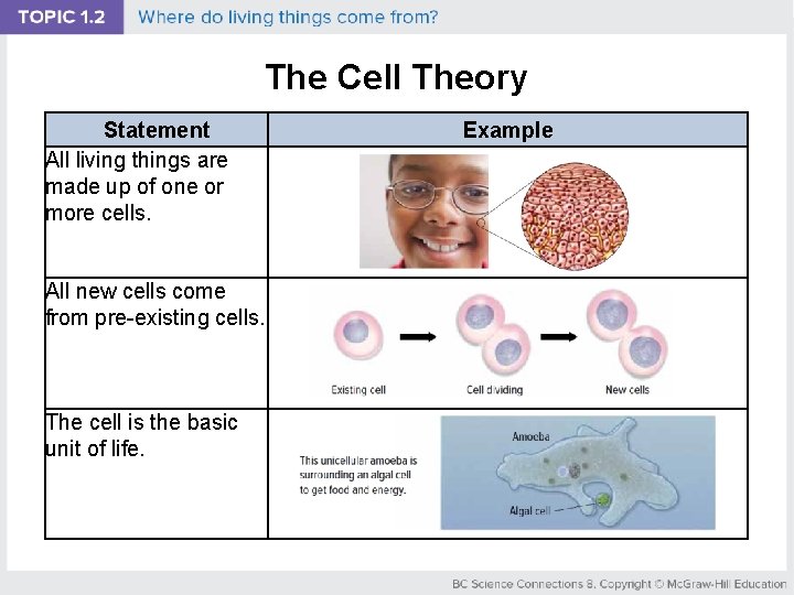 The Cell Theory Statement All living things are made up of one or more