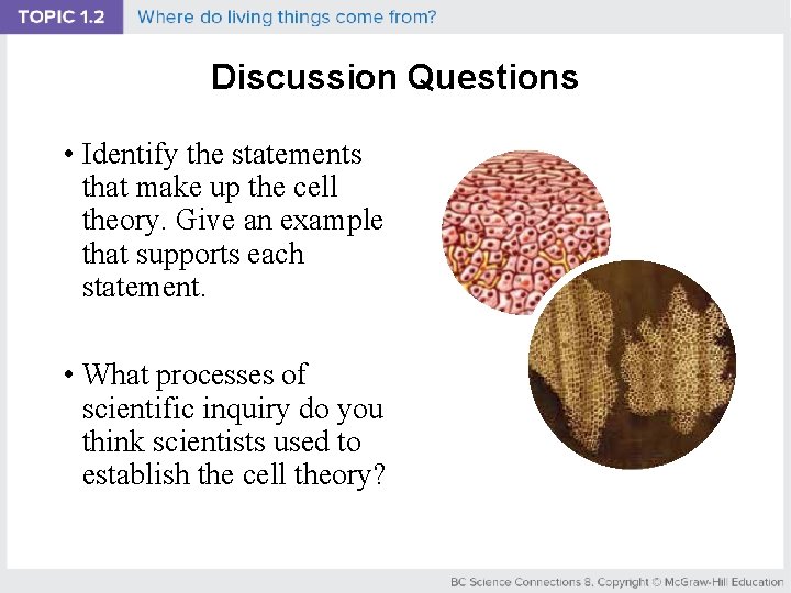 Discussion Questions • Identify the statements that make up the cell theory. Give an
