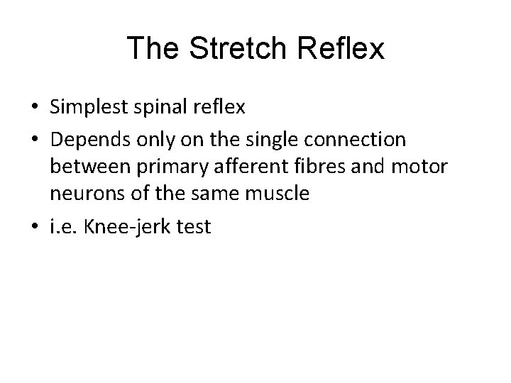 The Stretch Reflex • Simplest spinal reflex • Depends only on the single connection