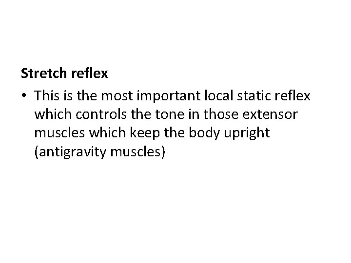 Stretch reflex • This is the most important local static reflex which controls the