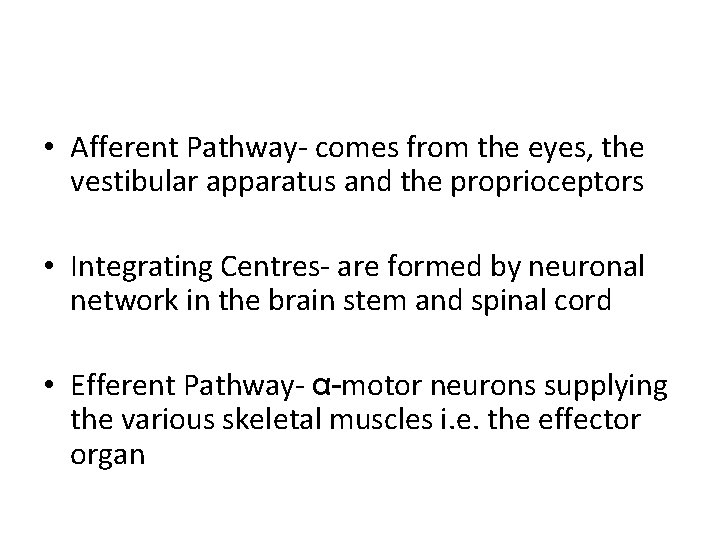  • Afferent Pathway- comes from the eyes, the vestibular apparatus and the proprioceptors