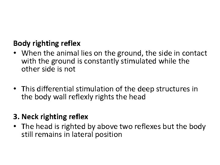 Body righting reflex • When the animal lies on the ground, the side in