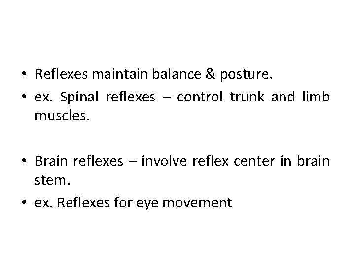  • Reflexes maintain balance & posture. • ex. Spinal reflexes – control trunk
