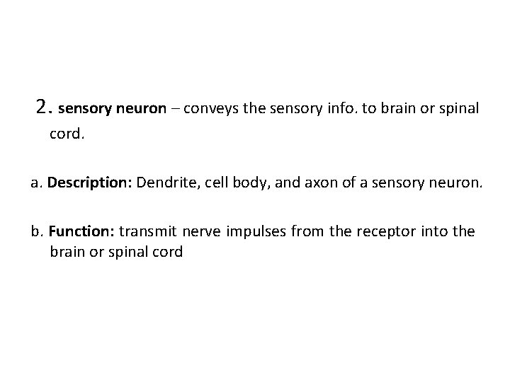 2. sensory neuron – conveys the sensory info. to brain or spinal cord. a.