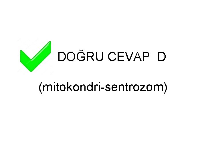 DOĞRU CEVAP D (mitokondri-sentrozom) 