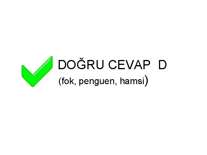 DOĞRU CEVAP D (fok, penguen, hamsi) 