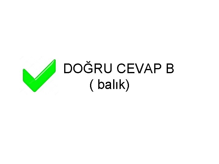 DOĞRU CEVAP B ( balık) 