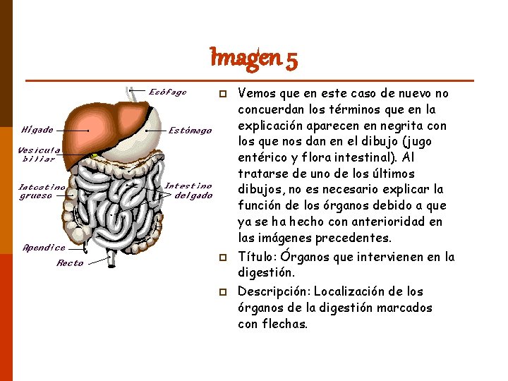 Imagen 5 p p p Vemos que en este caso de nuevo no concuerdan