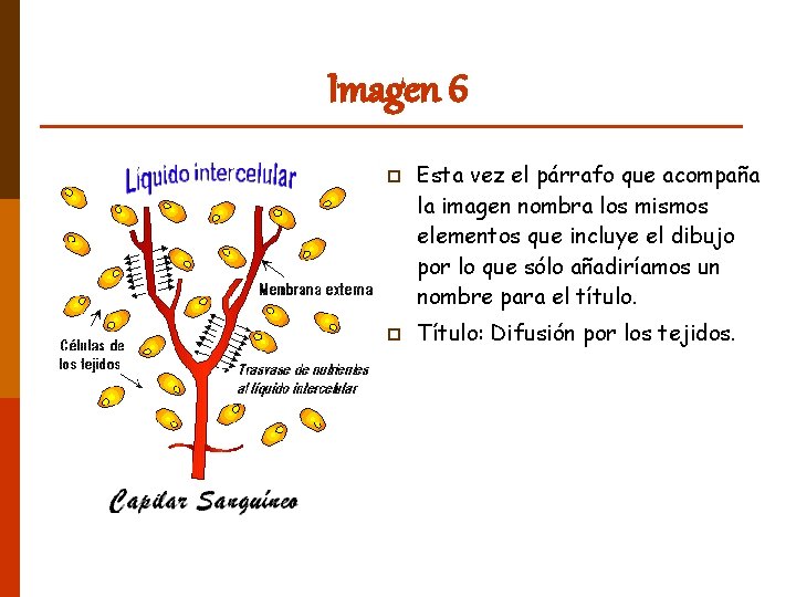 Imagen 6 p p Esta vez el párrafo que acompaña la imagen nombra los