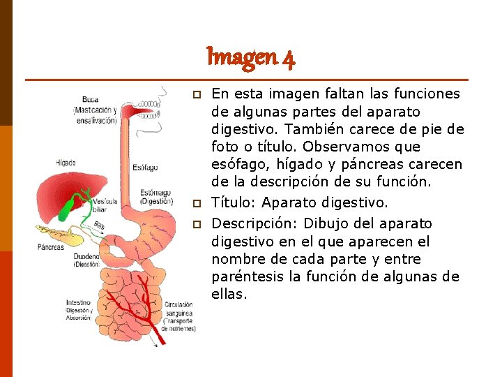 Imagen 4 p En esta imagen faltan las funciones de algunas partes del aparato