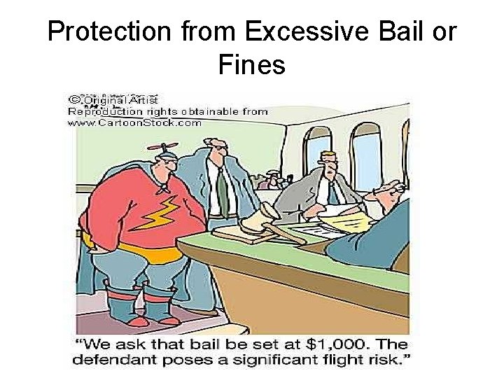 Protection from Excessive Bail or Fines 
