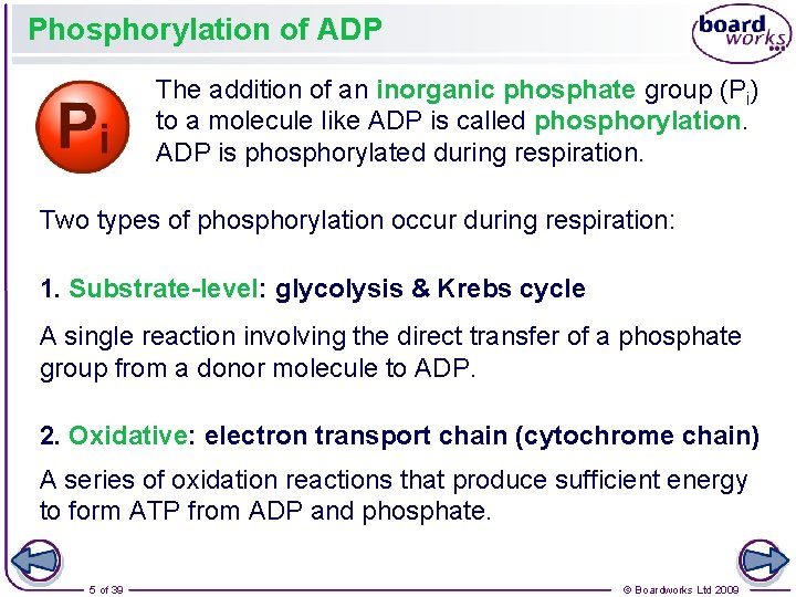 Phosphorylation of ADP The addition of an inorganic phosphate group (Pi) to a molecule