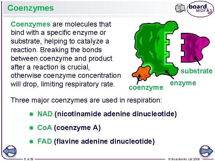 What is respiration Respiration is the process by
