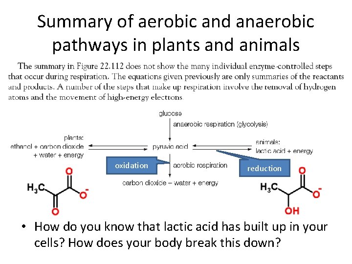 Summary of aerobic and anaerobic pathways in plants and animals oxidation reduction • How