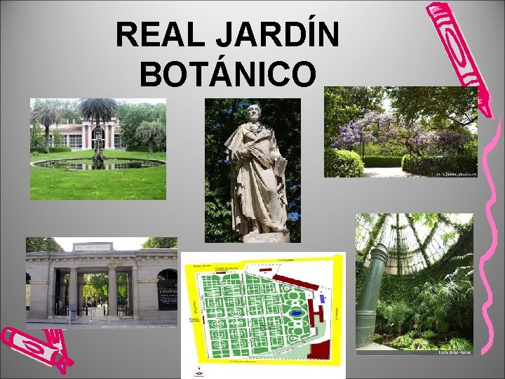 REAL JARDÍN BOTÁNICO 