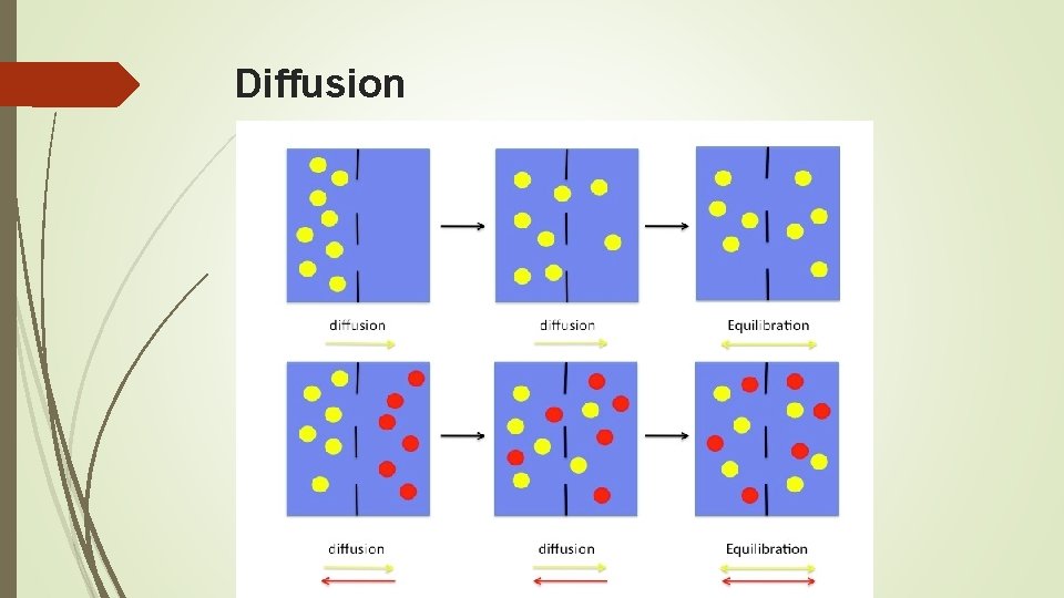 Diffusion 