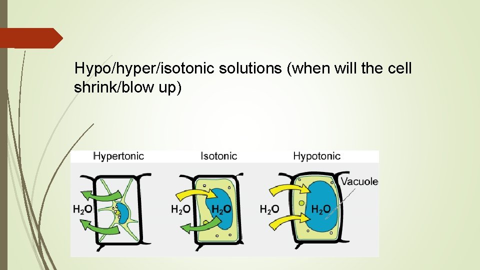 Hypo/hyper/isotonic solutions (when will the cell shrink/blow up) 