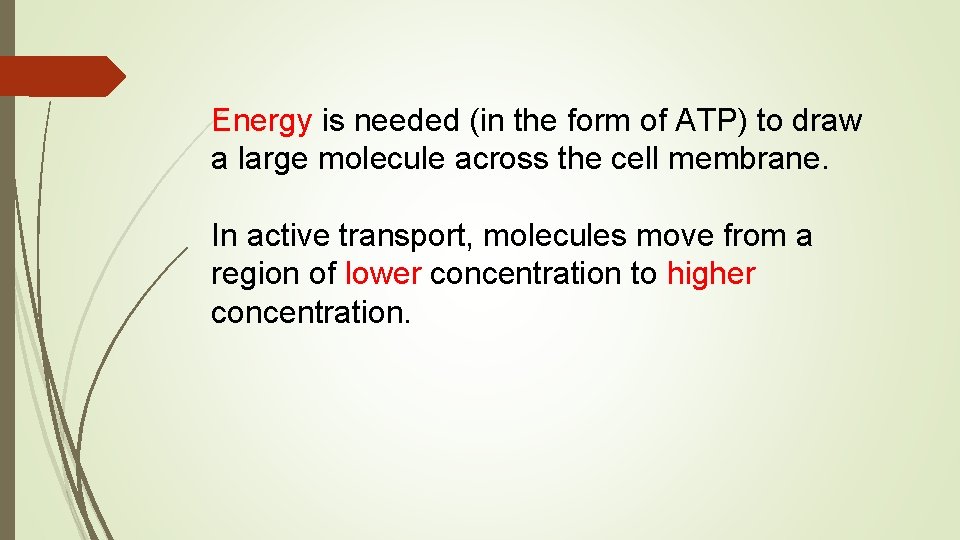 Energy is needed (in the form of ATP) to draw a large molecule across