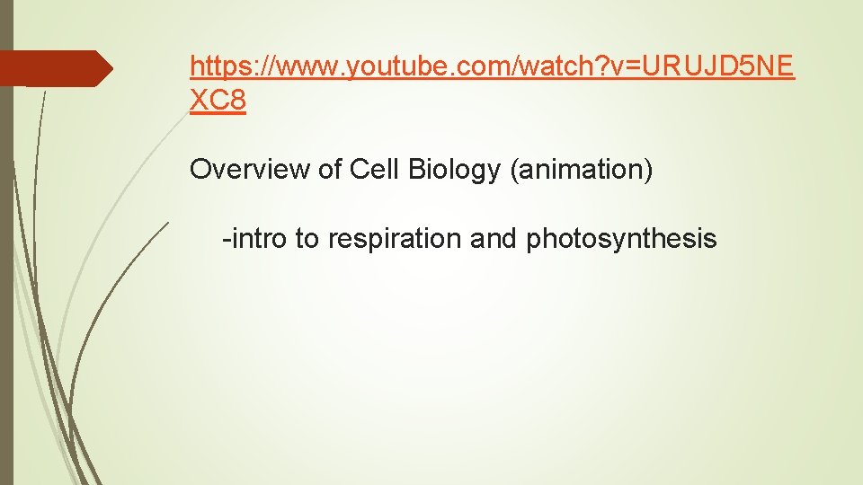 https: //www. youtube. com/watch? v=URUJD 5 NE XC 8 Overview of Cell Biology (animation)