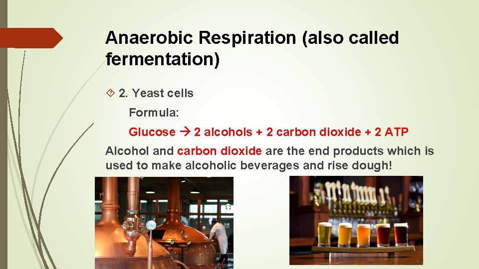 Anaerobic Respiration (also called fermentation) 2. Yeast cells Formula: Glucose 2 alcohols + 2