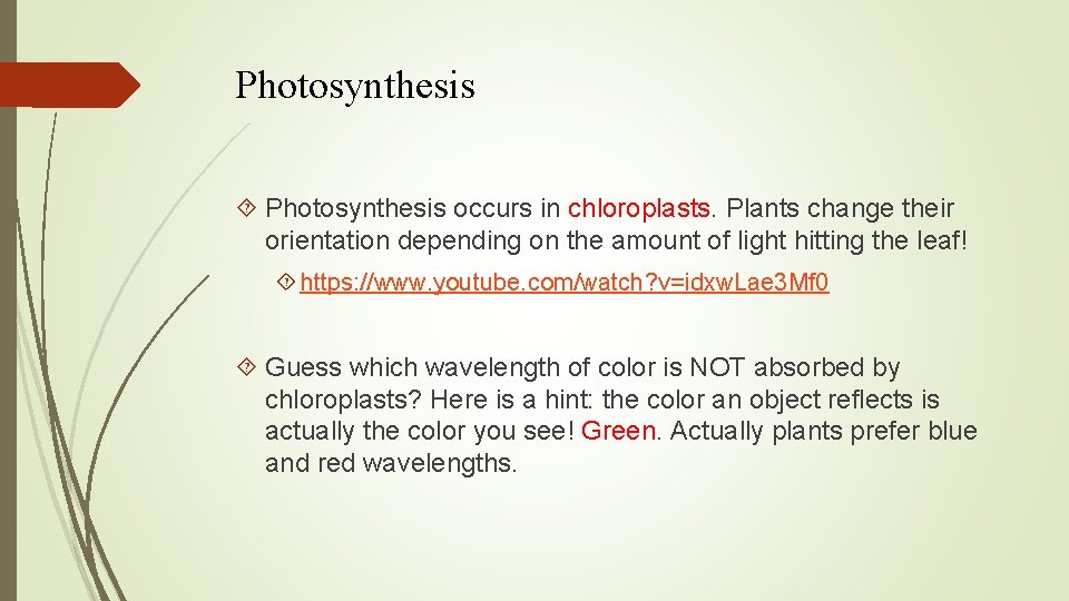 Photosynthesis occurs in chloroplasts. Plants change their orientation depending on the amount of light