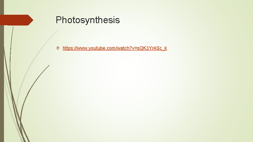 Photosynthesis https: //www. youtube. com/watch? v=s. QK 3 Yr 4 Sc_k 