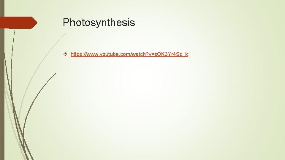 Photosynthesis https: //www. youtube. com/watch? v=s. QK 3 Yr 4 Sc_k Photosynthesis https: //www. youtube. com/watch? v=s. QK 3 Yr 4 Sc_k