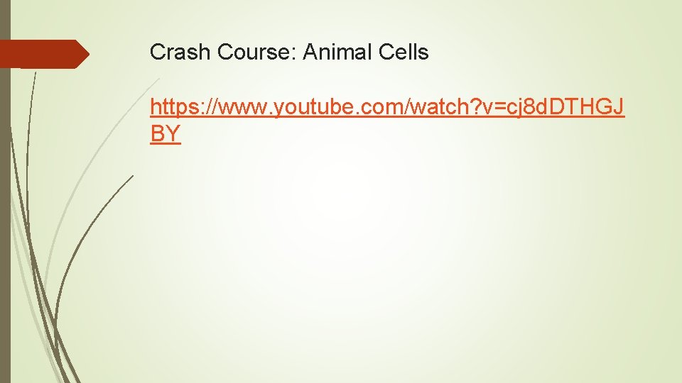 Crash Course: Animal Cells https: //www. youtube. com/watch? v=cj 8 d. DTHGJ BY 