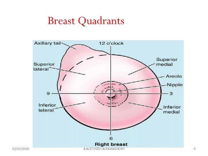 02/02/2020 A ALBTOOSH ALRAWASHDEH 9 