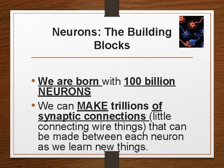 Neurons: The Building Blocks • We are born with 100 billion NEURONS • We