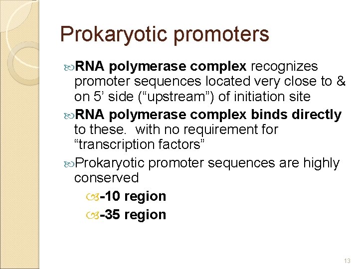 Prokaryotic promoters RNA polymerase complex recognizes promoter sequences located very close to & on