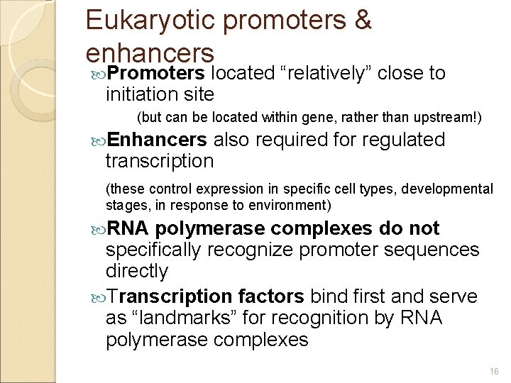 Eukaryotic promoters & enhancers Promoters located “relatively” close to initiation site (but can be