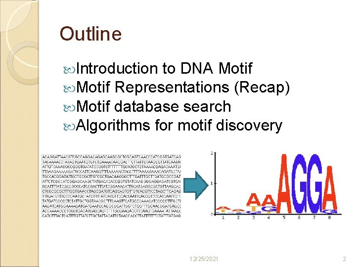 Outline Introduction to DNA Motif Representations (Recap) Motif database search Algorithms for motif discovery